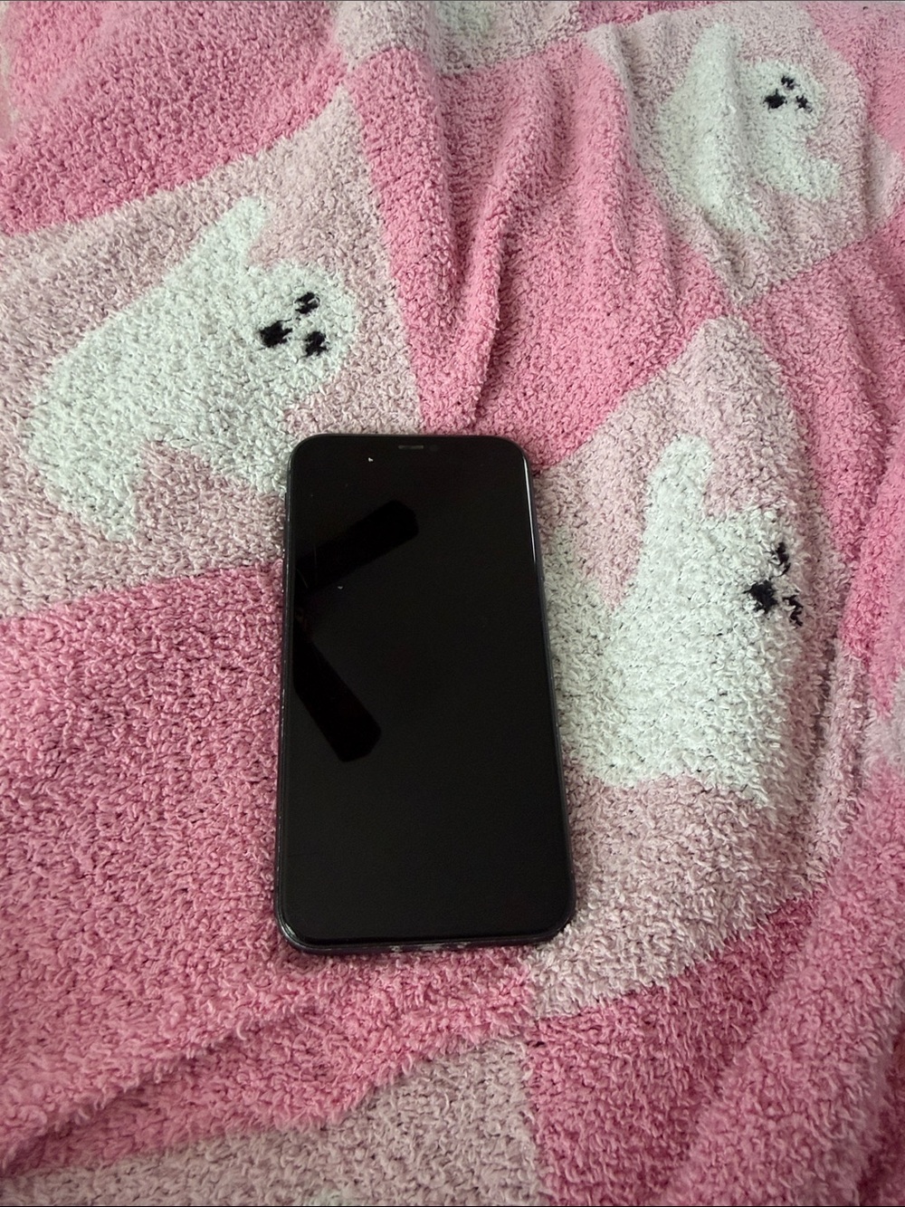 iphone apple product Daul Camera